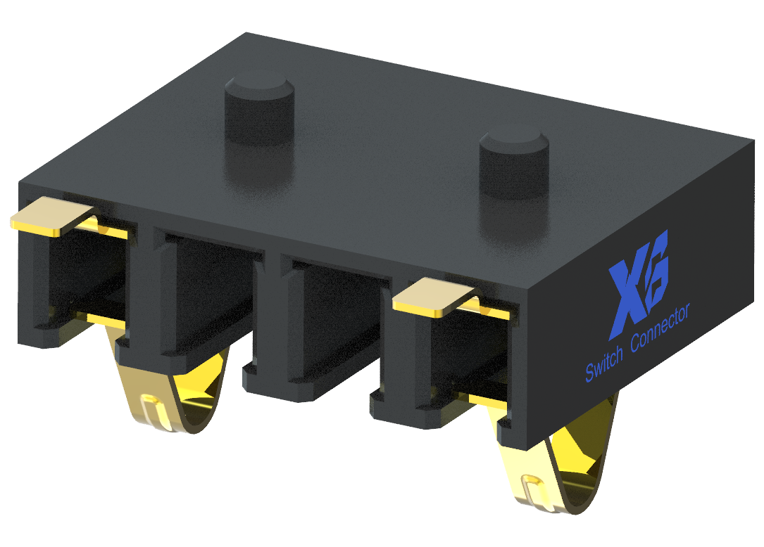 XB-BC-80-4PD300-2P-X-X